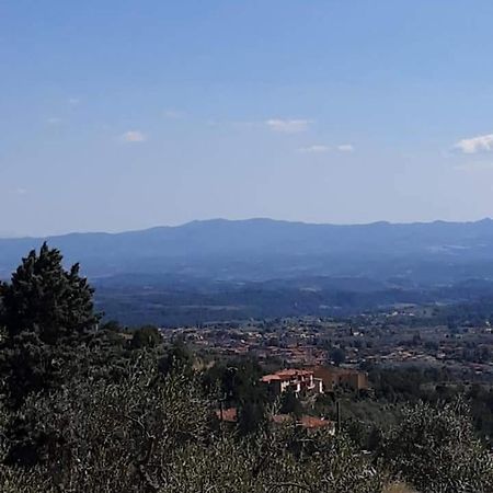 Villa Bensi Agrifarm La Corte旅馆 外观 照片