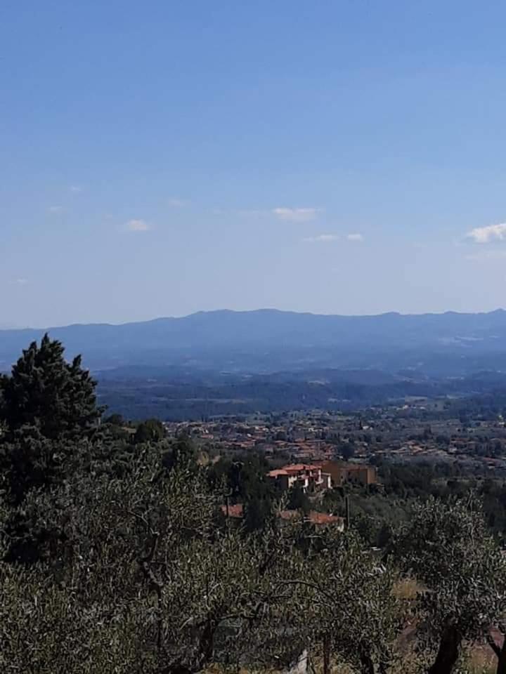 Villa Bensi Agrifarm La Corte旅馆 外观 照片